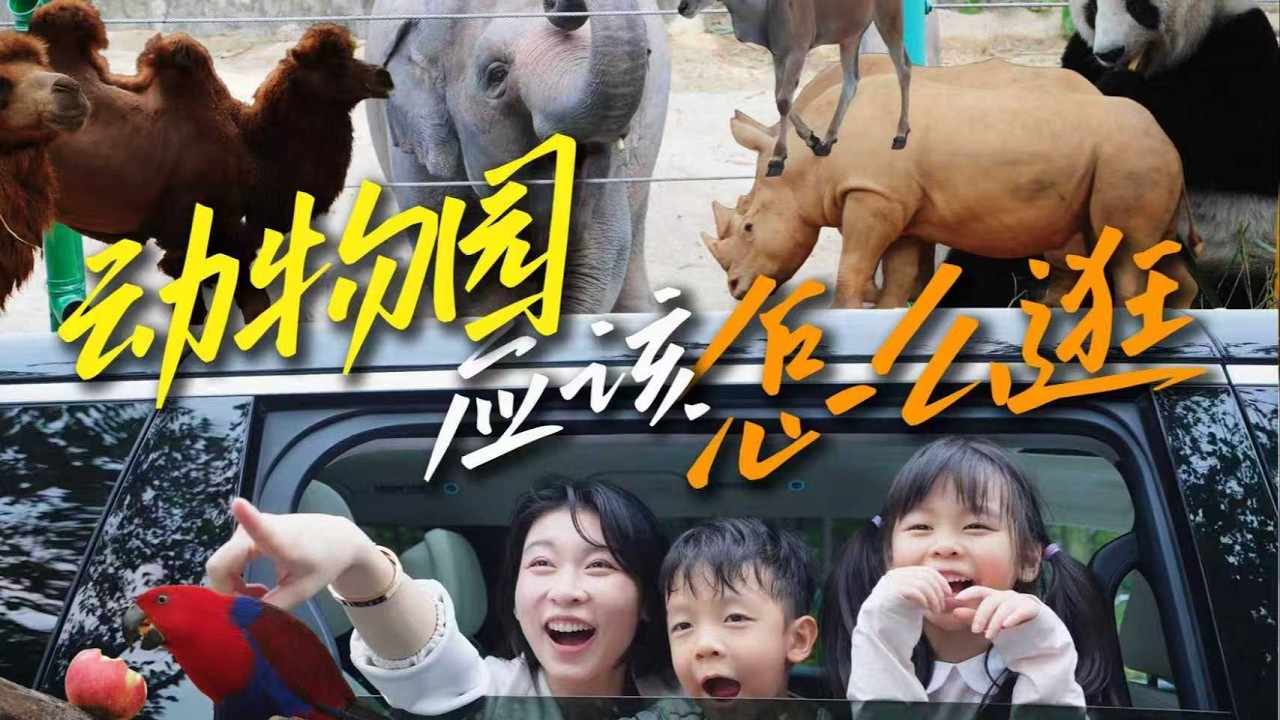 認真逛動物園！一家四口深圳至廣州長隆自駕遊說走就走！