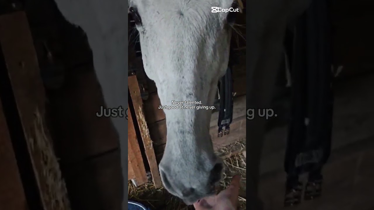 😕😕😕 #jazdakonna #horses #horse #horseriding #wybijesie #viral #popular #trend #equestrian #tiktok