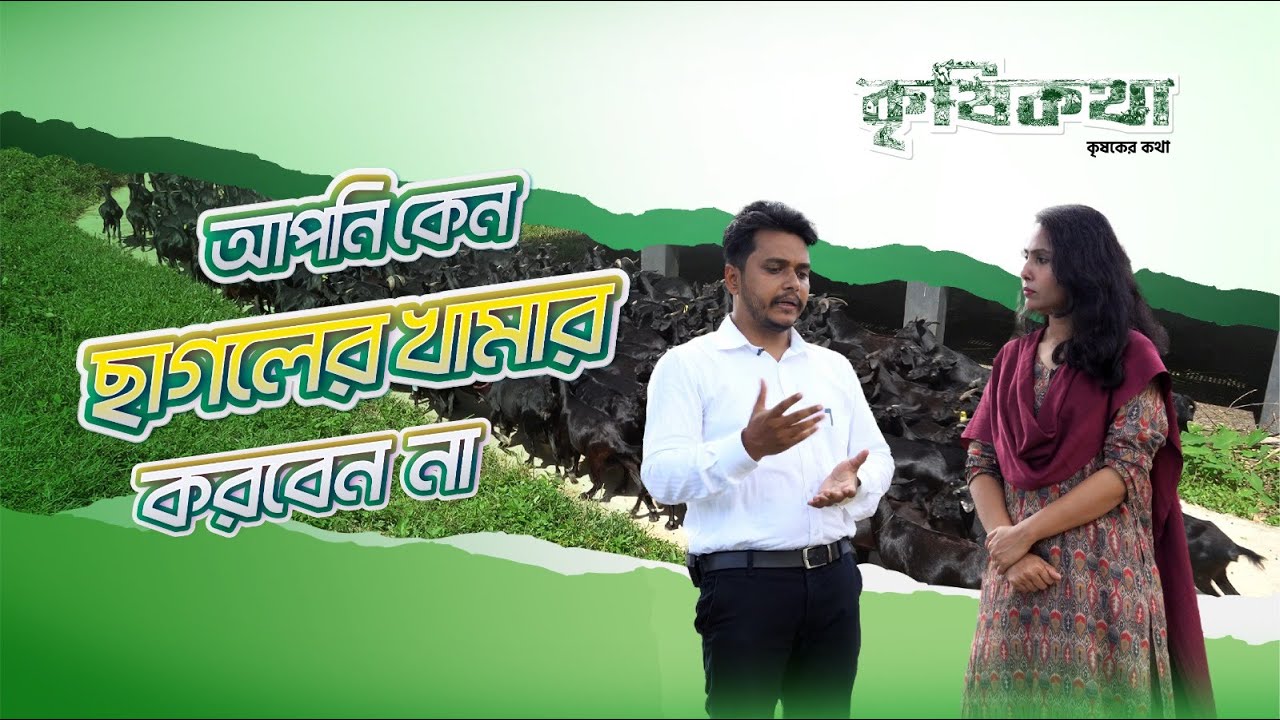 আপনি কেন ছাগলের খামার করবেন না । chagoler khamar। Goat Farming in BD। Dr Jonayed Kabir