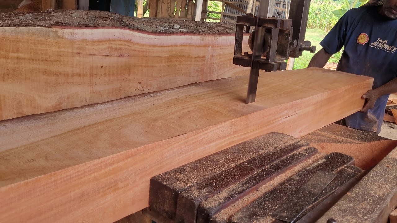 Amazing Quality of Mahogany Wood Cutting in Sawmill Rajshahi Bangladesh