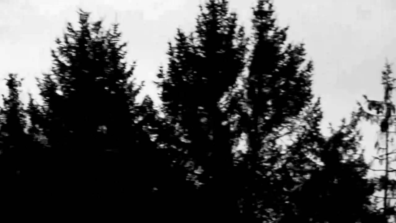 Black Rebel Motorcycle Club - Last Chance For Love
