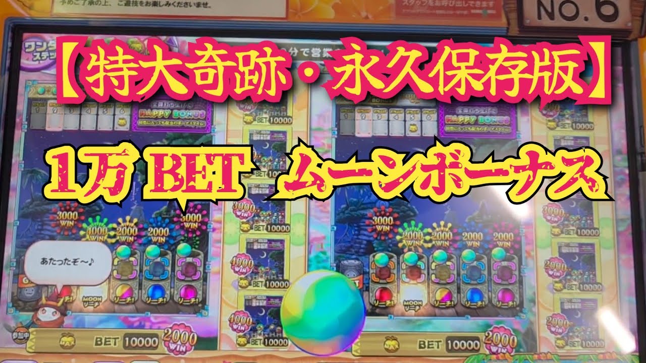 特大・大奇跡の永久保存版【カラコロッタ7 アニマルスパーク】おかわりHITのオマケも付いてきた…⁉️