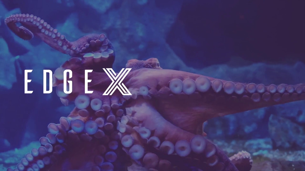 EdgeX Foundry
