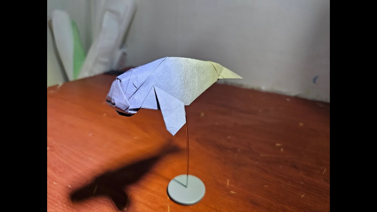 듀공 접기(Dugong origami)