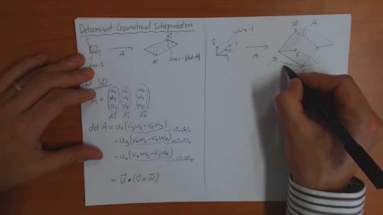 8f) Geometrical interpretation of the determinant