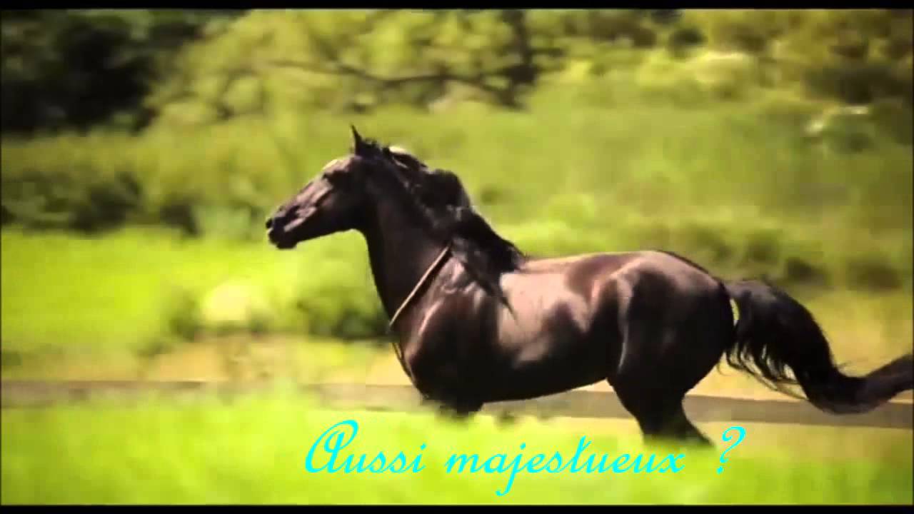 L'équitation est un sport !!! Arrêter de dire que non