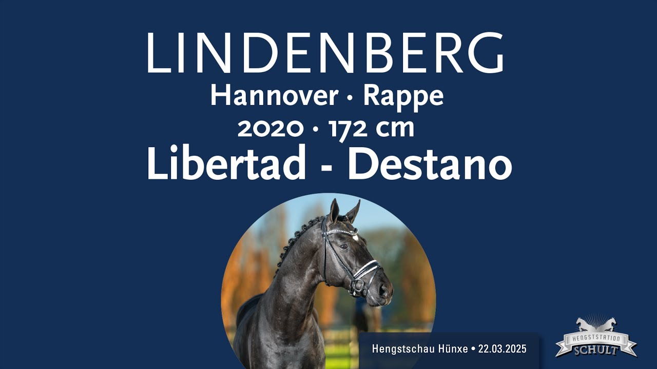 Lindenberg, Hengstschau Schult 2025