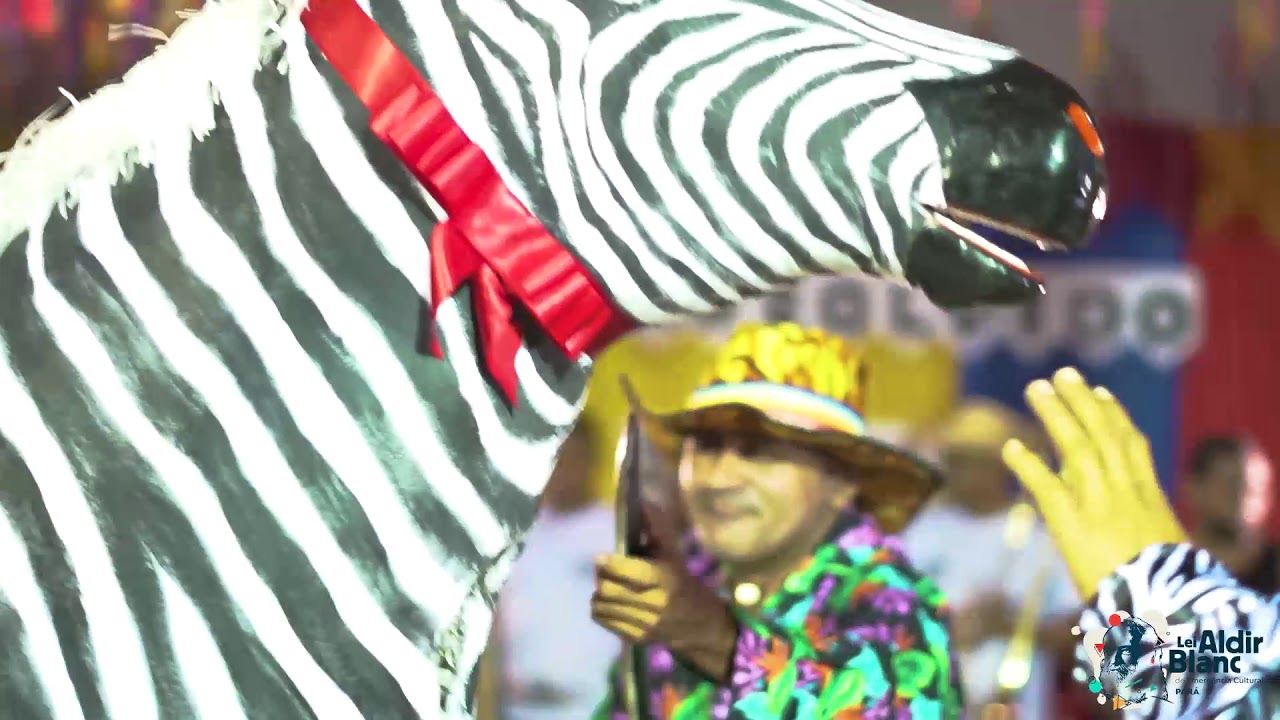 ZEBRA   GRUPO FOLCLÓRICO DE SANTA MARIA DA BARRETA   SÃO CAETANO DE ODVELAS   PA   16 JAN 2021