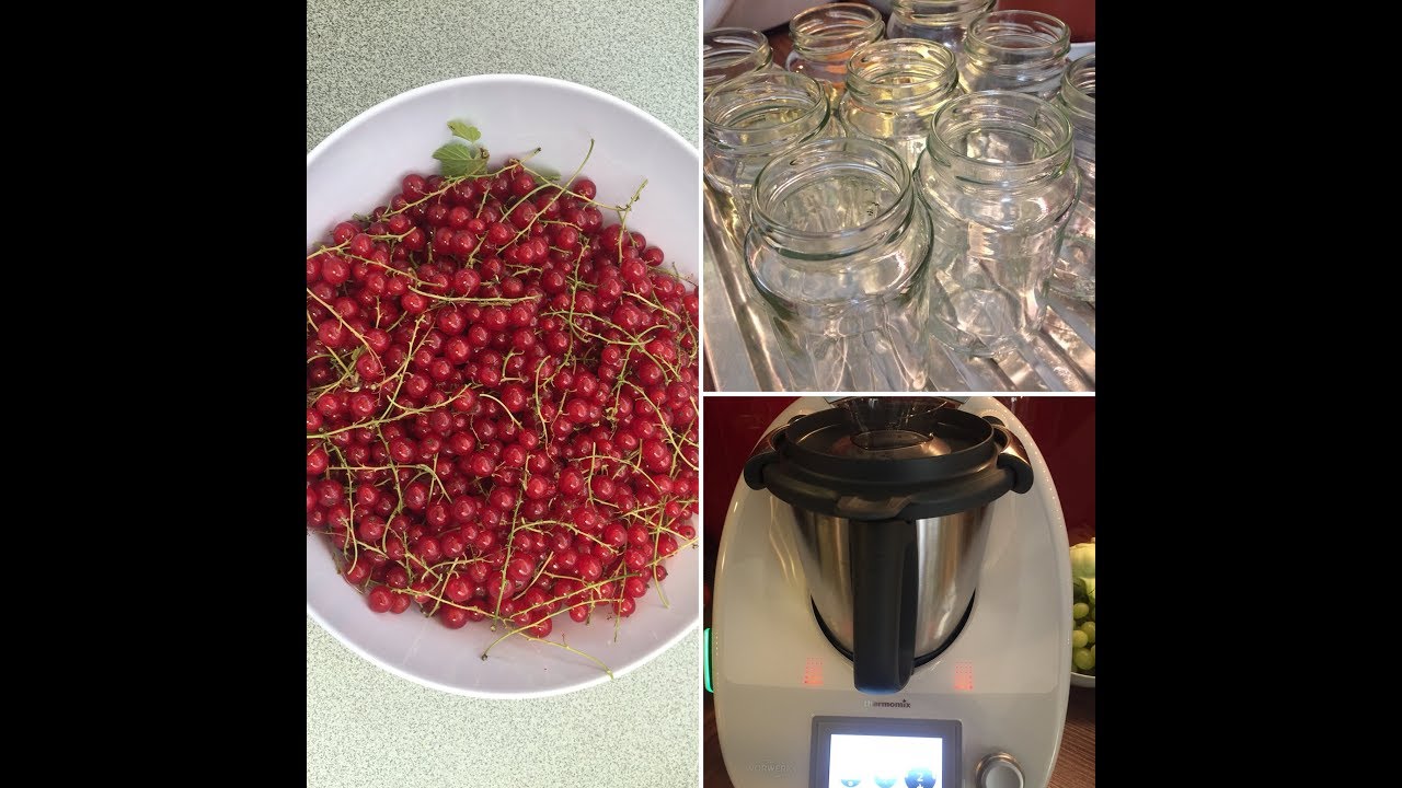 * Vom Strauch ins Glas * Johannisbeermarmelade * Thermomix *