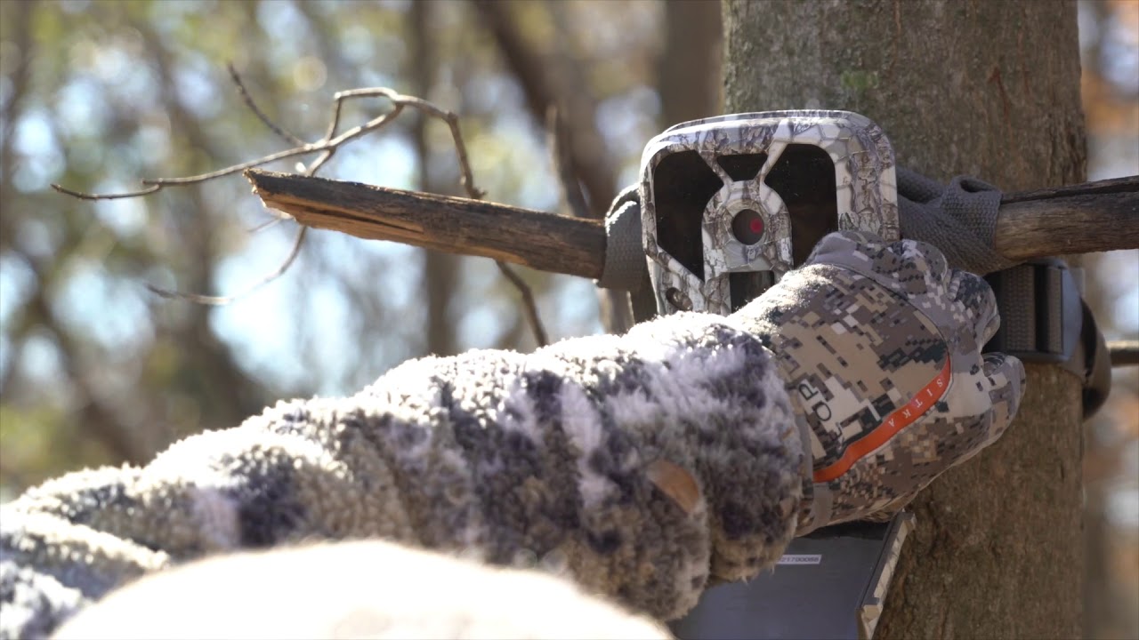 Best Trail Cam Location Setup Strategy