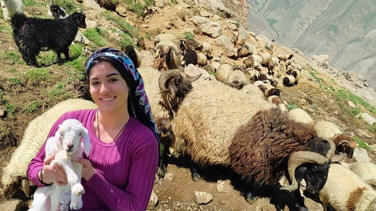Dengbej Kemal - Strana Gulnaz û Seyad 💐 Kürtçe Aşk Dengbej Şarkısı 2024