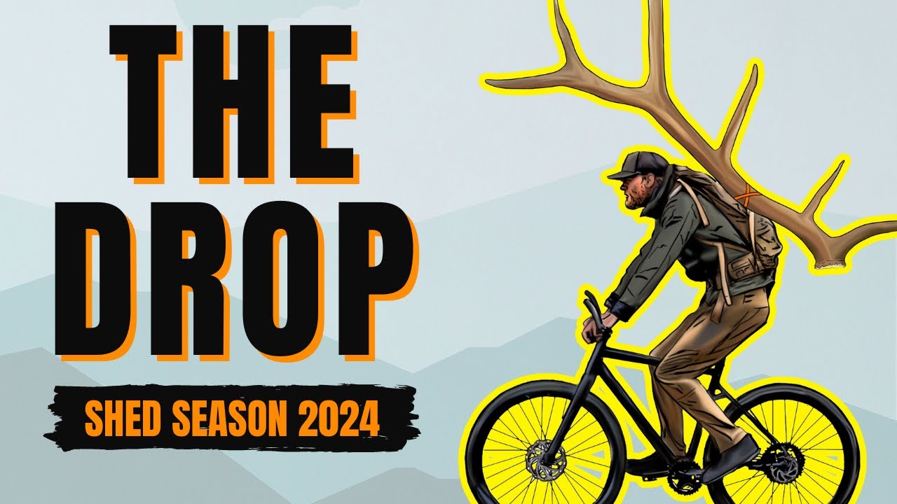 21 Elk Sheds and 3 Grizzlies