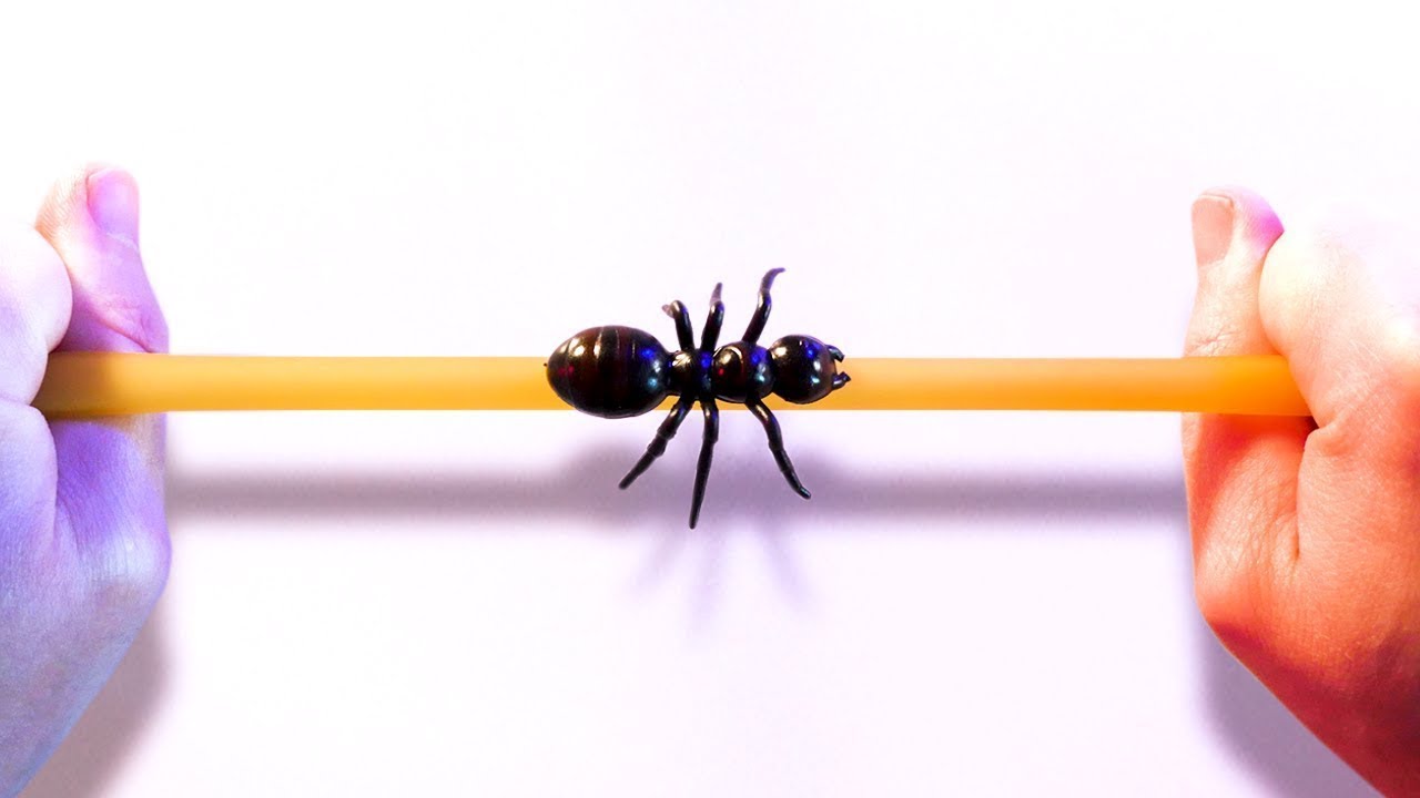 Ant on a Rubber Rope - Visual Explanation