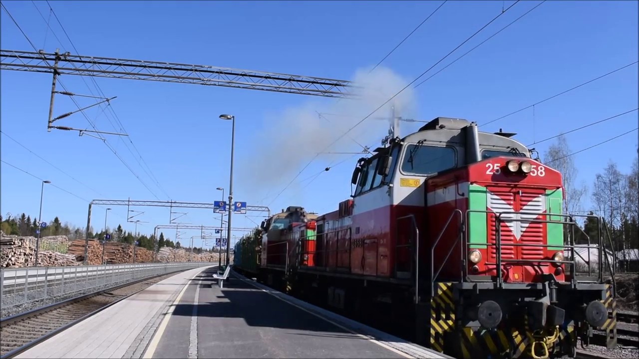Oulaisten puunhakija