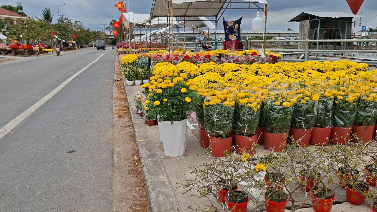 Đường Chợ Bông Mỏ Cày Bến Tre Chiều 24 Tết 2026 #42