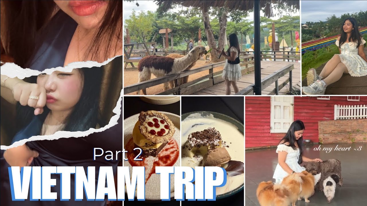 Part 2 of my Vietnam trip is out!!!!!!  So many pets!! Where did we go?!??!! 