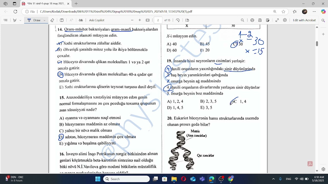 18 may 2025 OTK Biologiya testinin izahi
