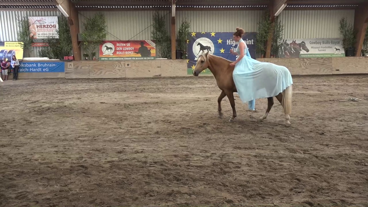 Freestyle Missouri Foxtrotter Ausschnitt