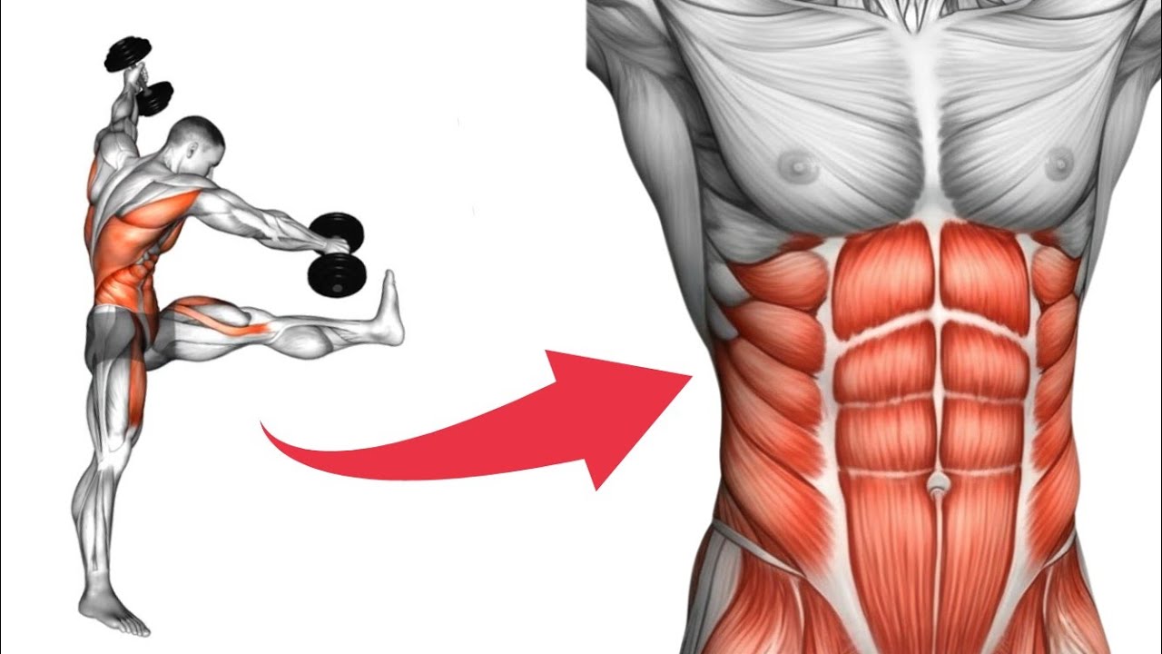 Dumbbell Exercises To Burn Stomach Fat Fast At Home – Get Visible Abs