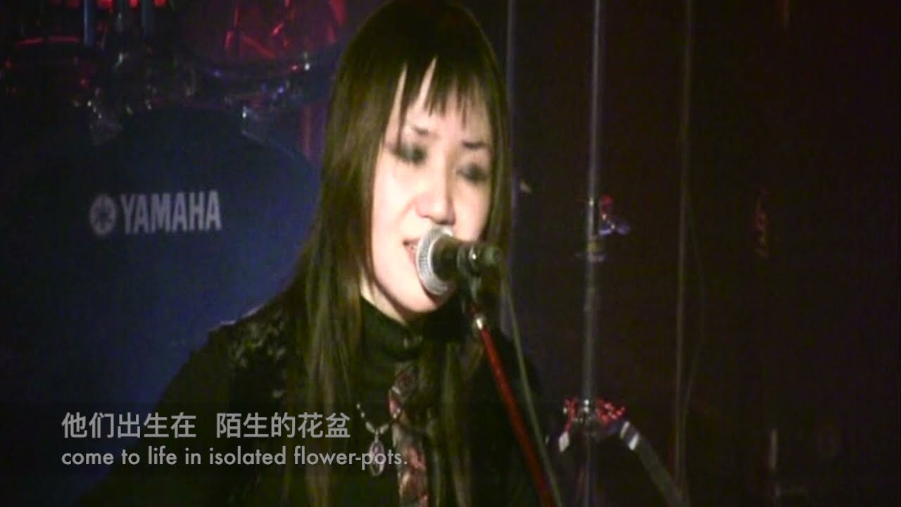 地上的种子 Seeds on the Ground——冷酷仙境 Cold Fairyland