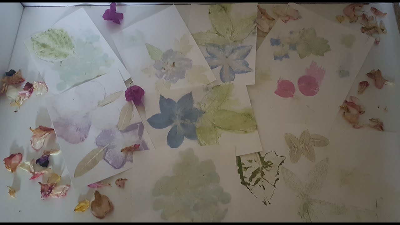 Impression de fleurs naturelles sur papier