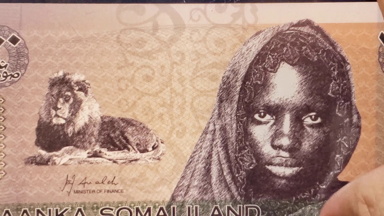 The big cats on  banknotes...