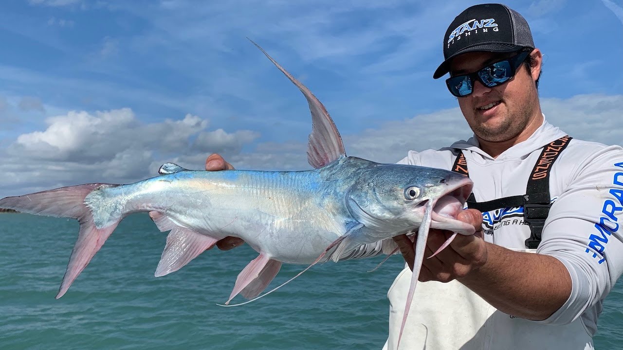 IF I BET MY LIFE THIS FISH WOULD TASTE BAD I WOULD NOW BE DEAD |||| MONSTER SAIL CATFISH