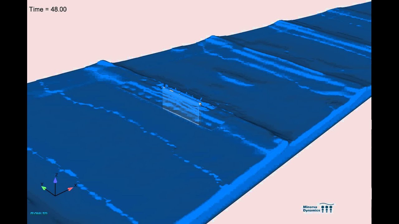 CFD simulation of a surface piercing flap wave energy converter
