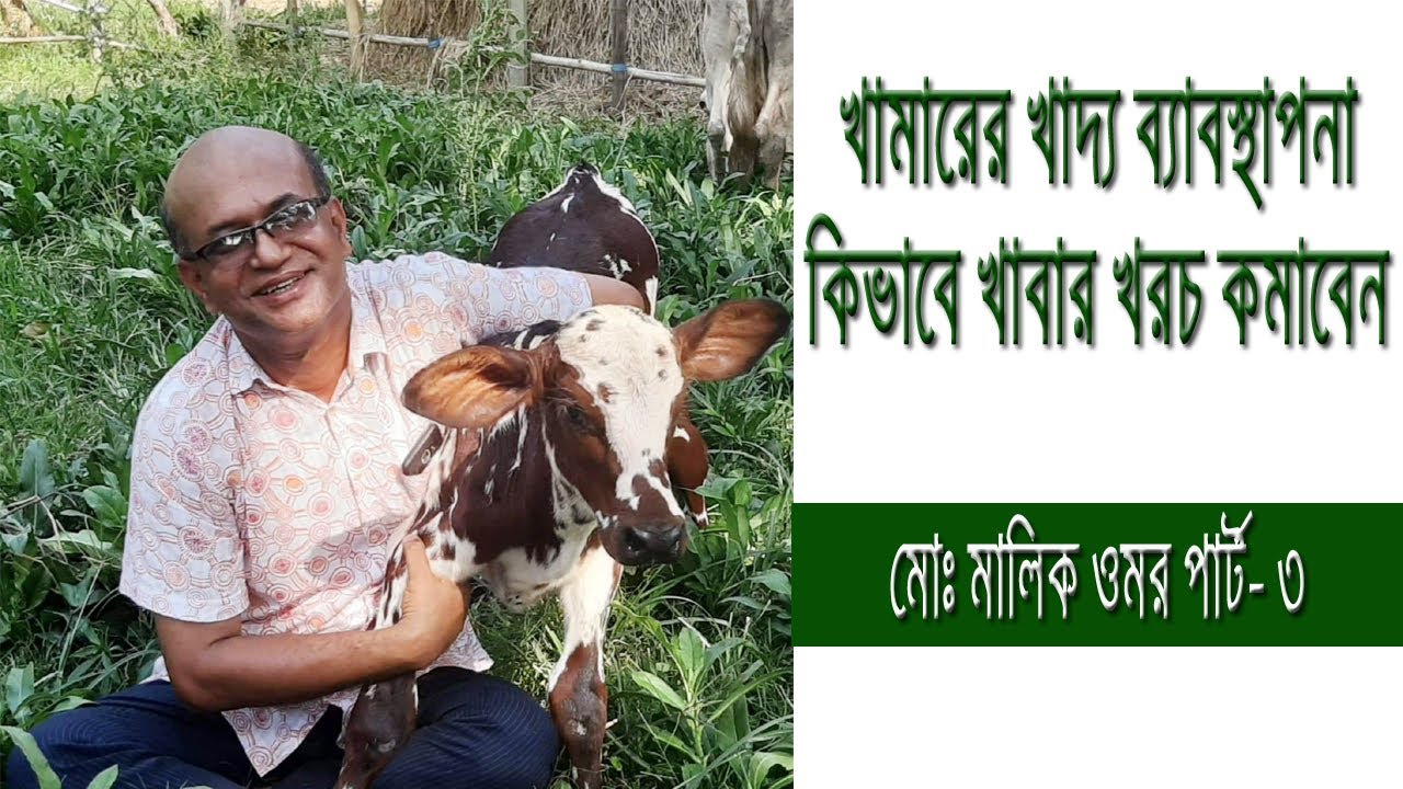 খামারের খাবার খরচ কিভাবে কমাবেন? আদর্শ খাদ্য ব্যাবস্থাপনা । মোঃ মালিক ওমর পার্ট- ৩