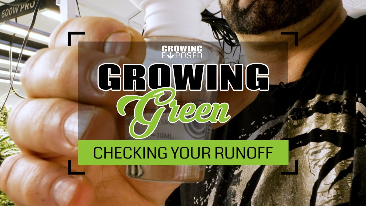 Checking Your Runoff | Growing Green