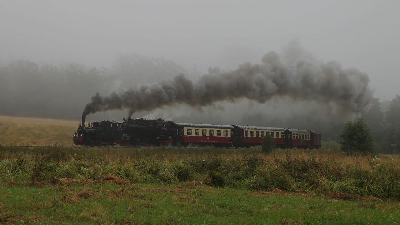 Dampflok Hoya zu Gast auf der Selketalbahn / Teil 2 / 18.08.2024 - Vormittag