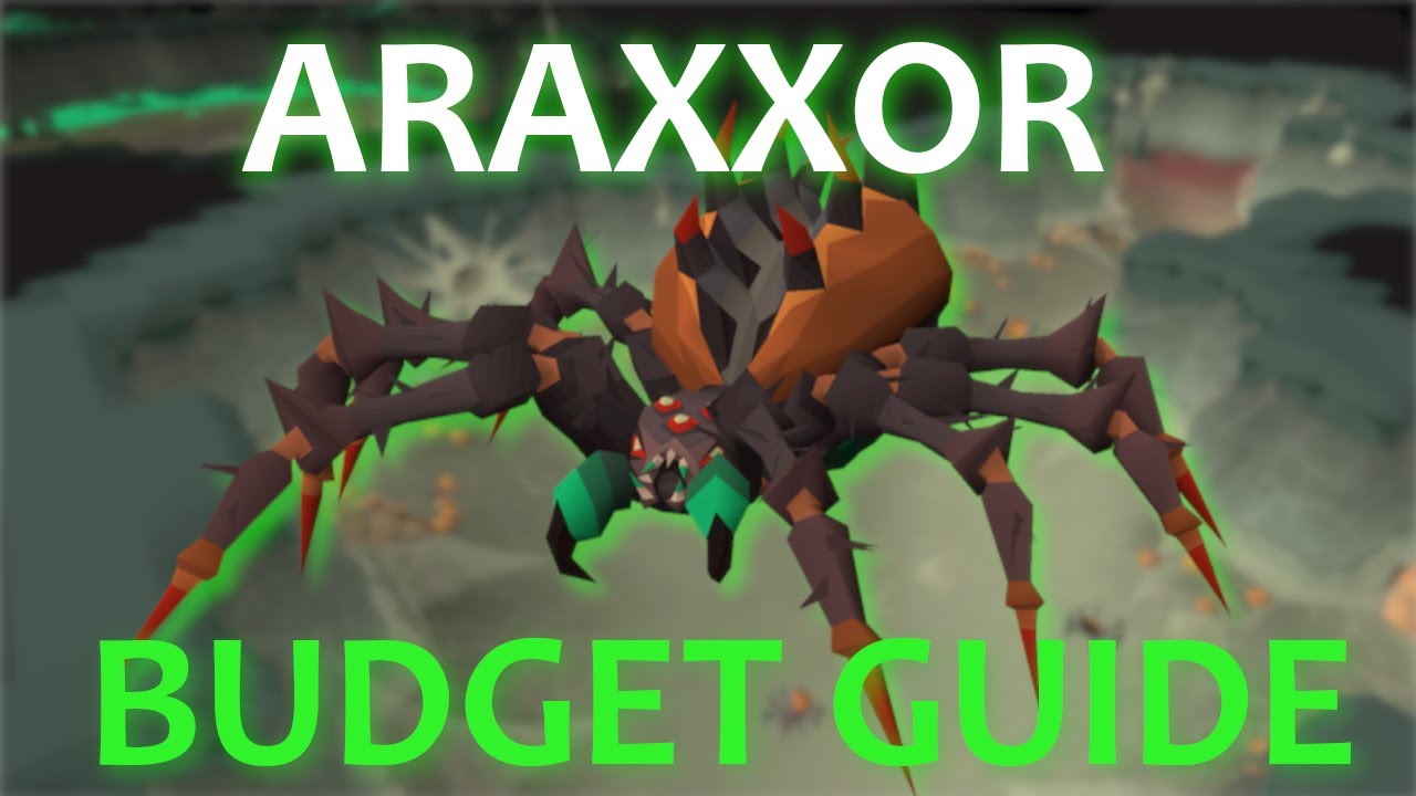 A Beginner's Budget Guide: Araxxor (OSRS)