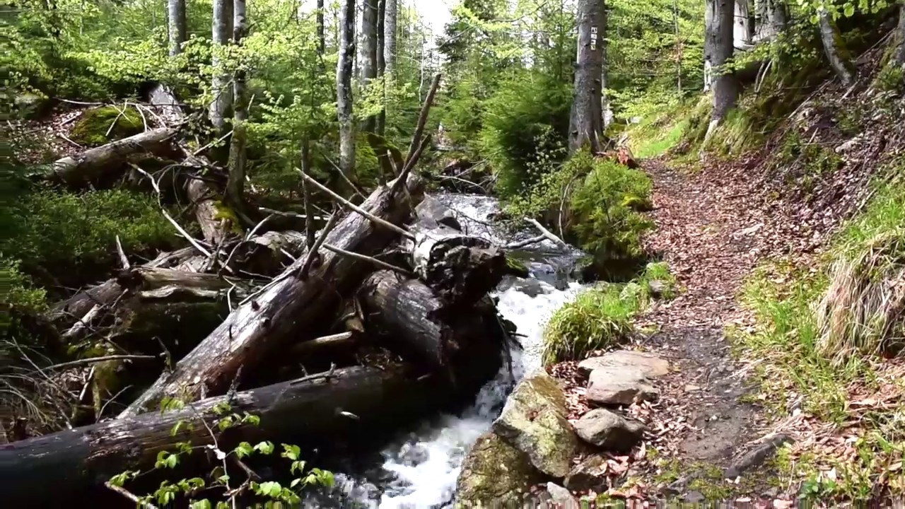 Goldsteig