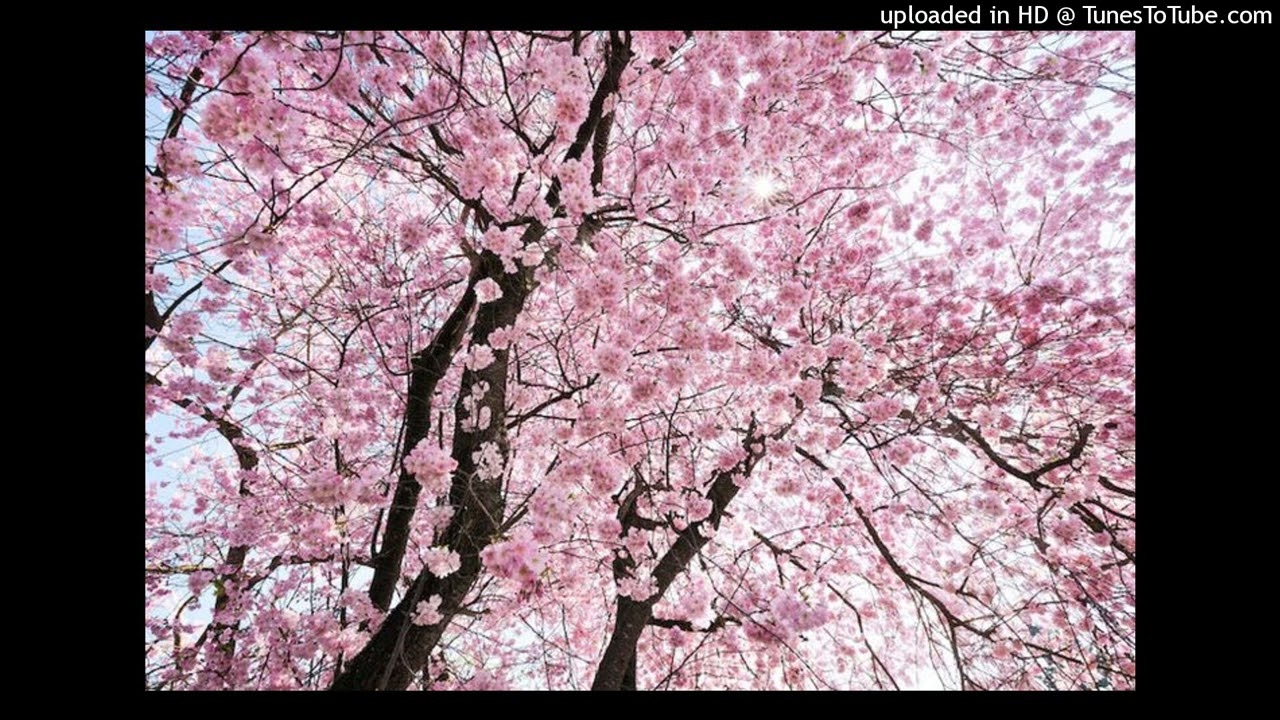 (free for profit) kempachii type beat