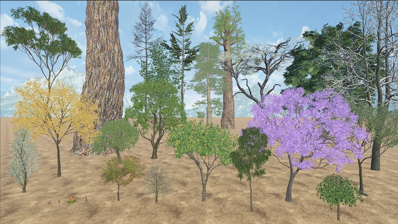 The Highest Tree Over The World - 3D Tree Size Comparison