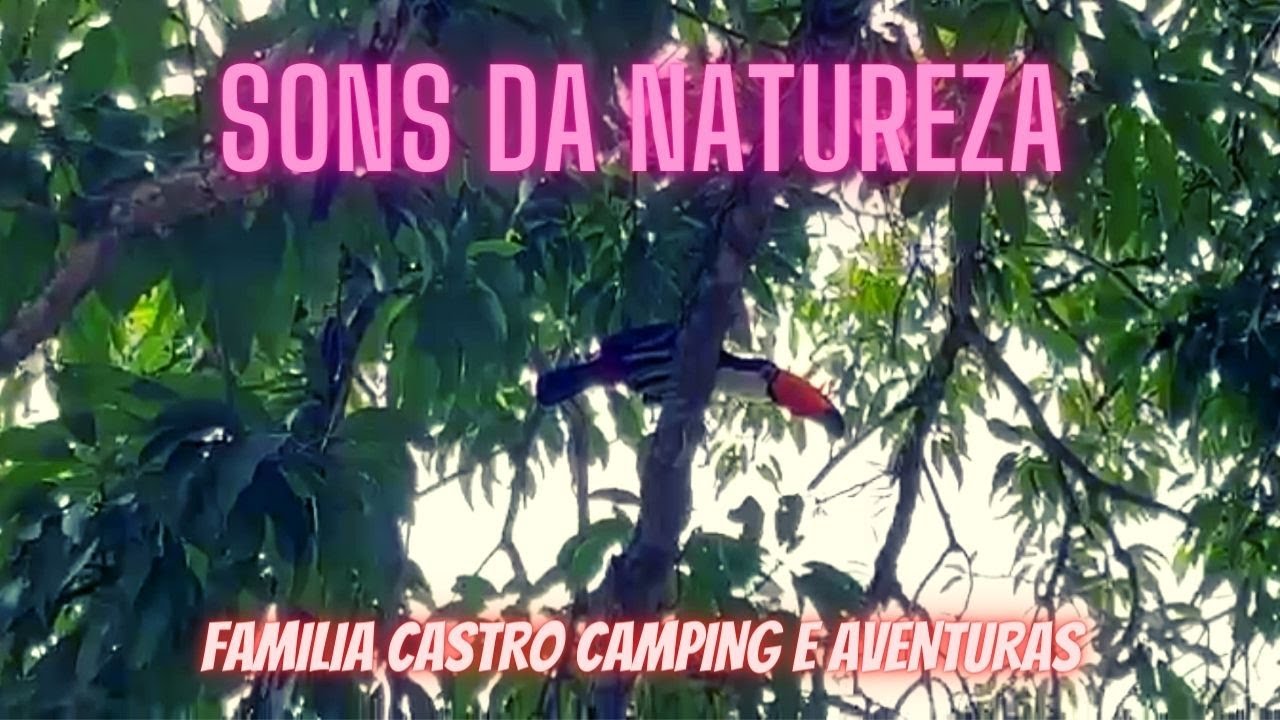 SONS DA NATUREZA - Camping Valle das Aguas -  Camping e Aventuras