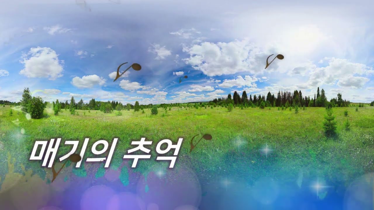 메기의 추억