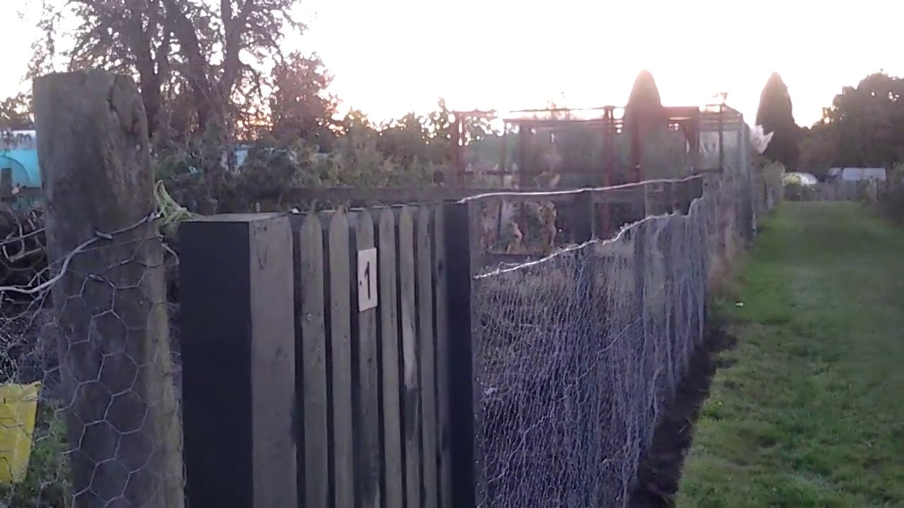 #StartingANewAllotment Series 1, Episode 4. 