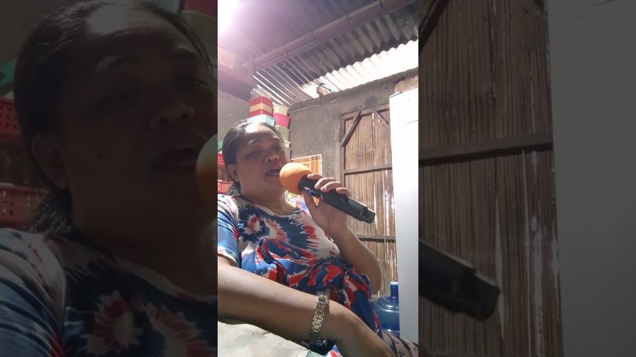 We Could Have It All- Maureen McGovern (song cover)