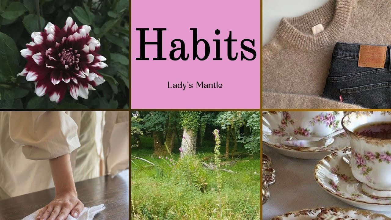 5 simple Habits that I do every Day .