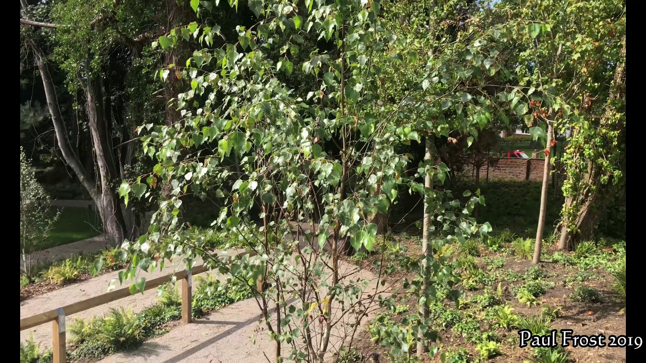 The New Strawberry field Visitors centre