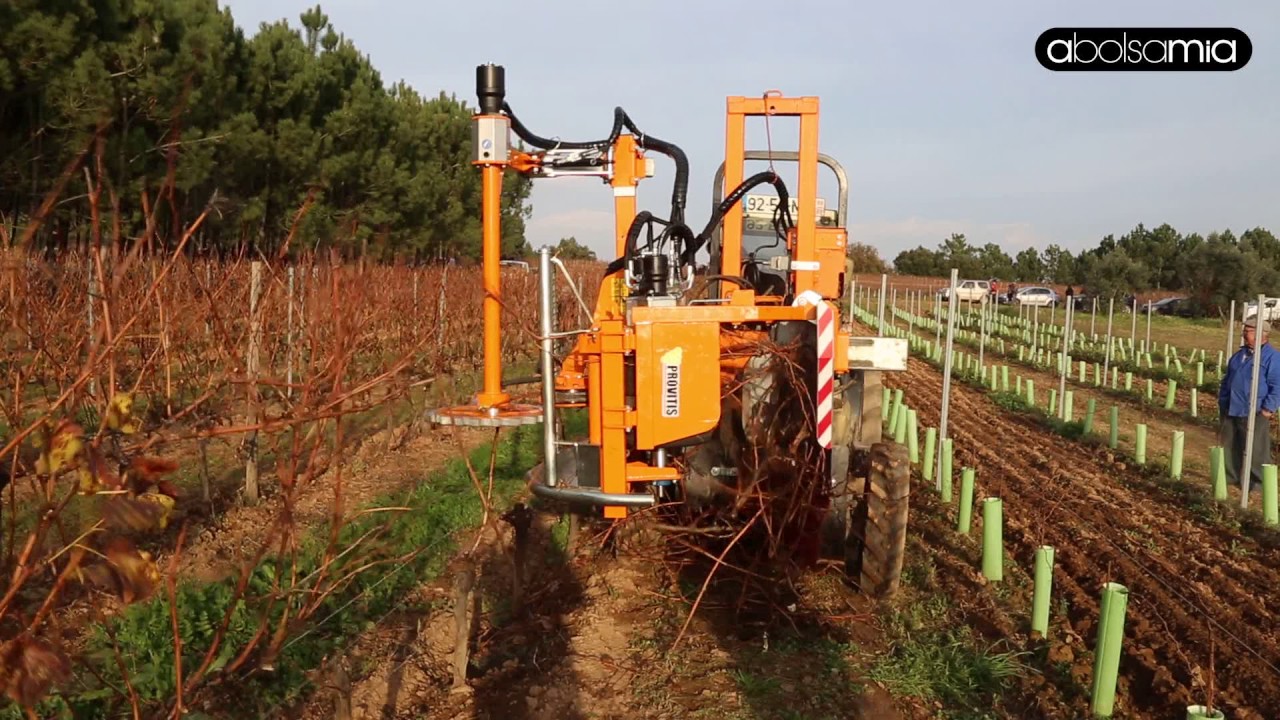 Provitis VSE430