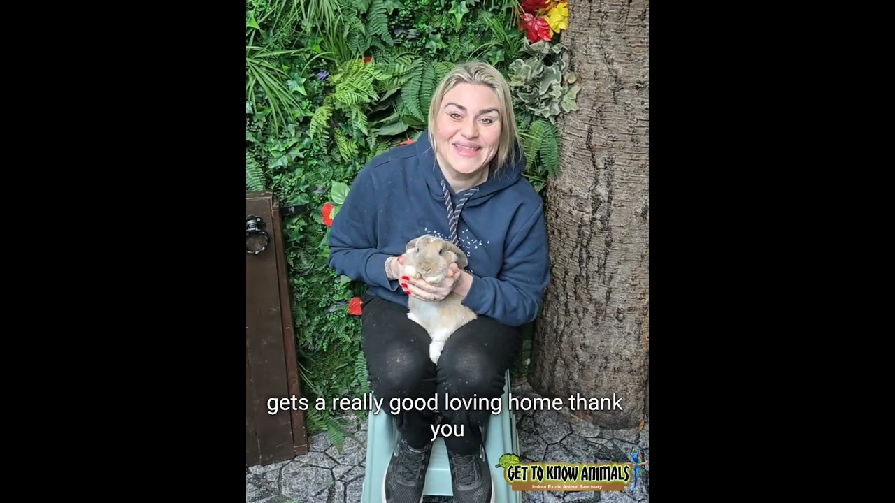 Kevin McAllister the rabbit, rescued and safe at last! 