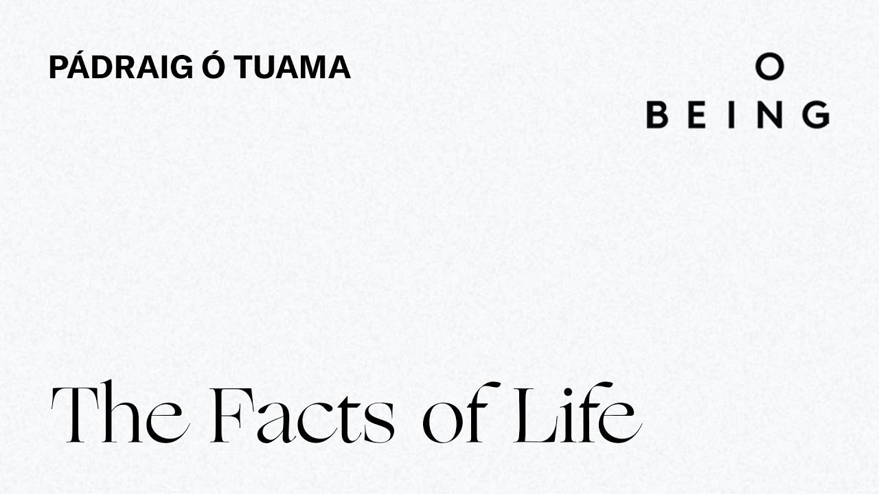 &ldquo;The Facts of Life&rdquo; &mdash; written and read by P&aacute;draig &Oacute; Tuama