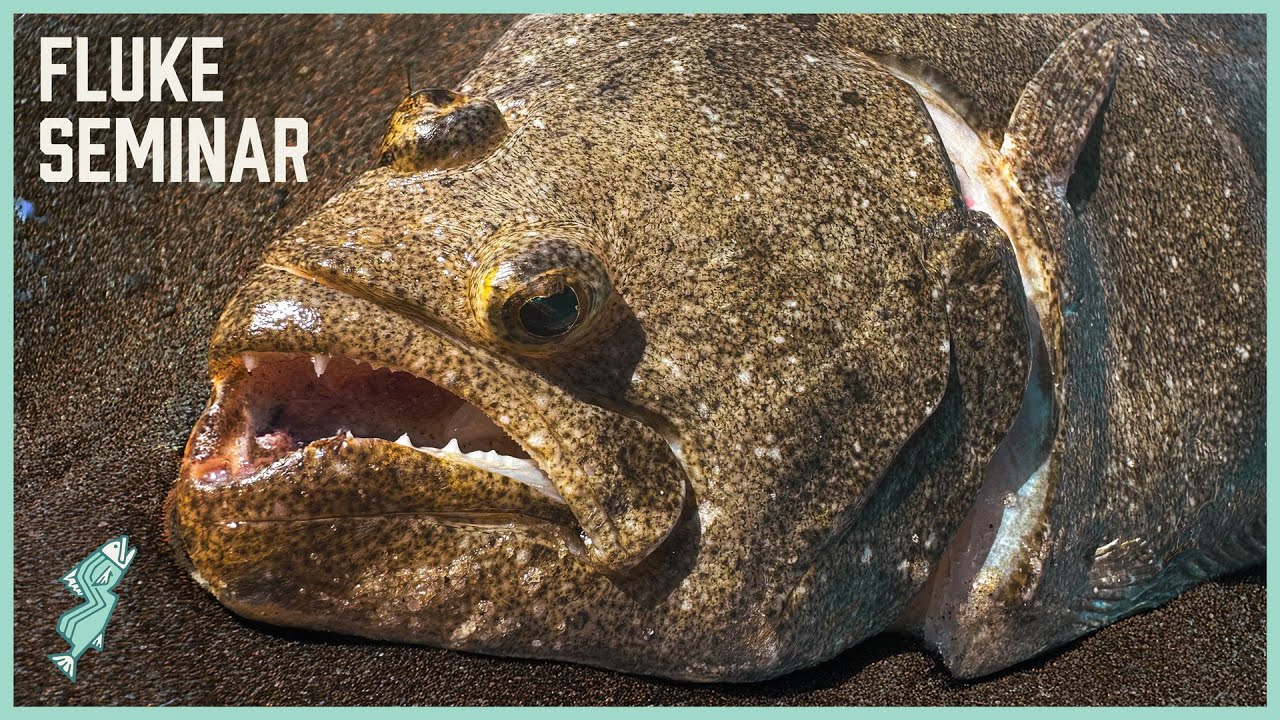 Beginner’s Guide to Catching Fluke from the Surf | Fishing Seminar