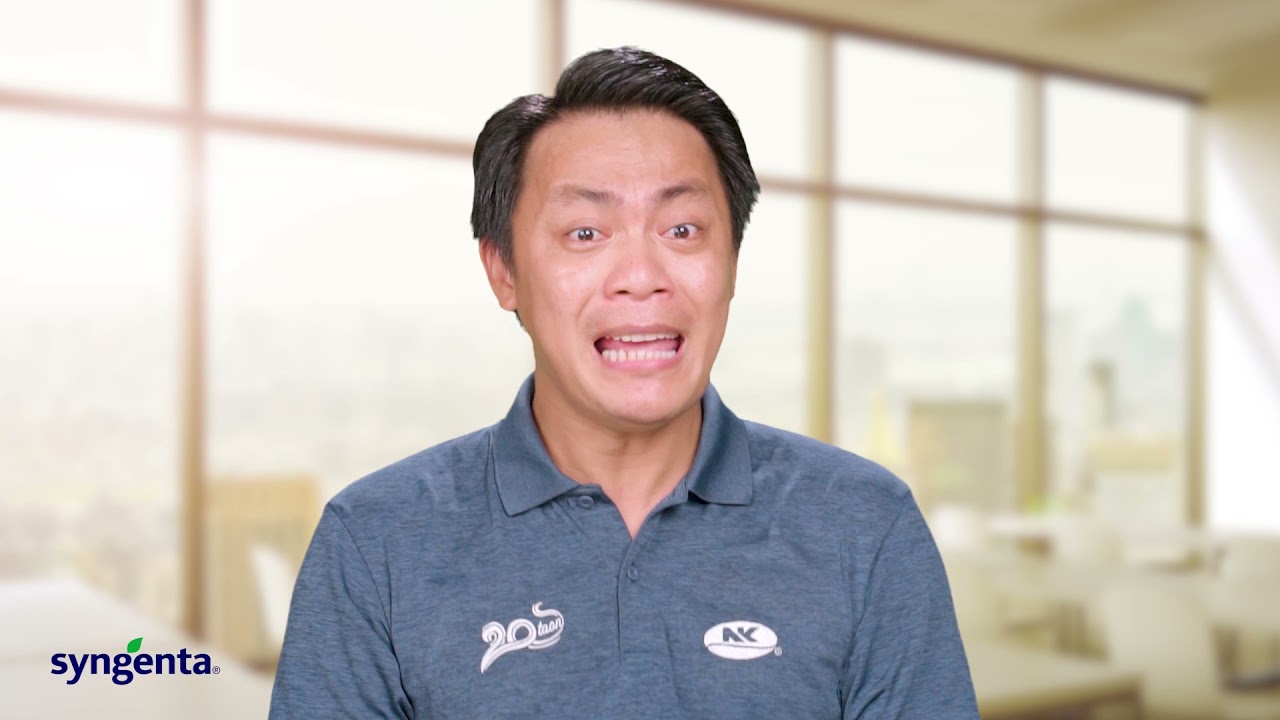 NK University Episode 7 | Corn Pest Management | Syngenta E-learning Program | Greenbug Media