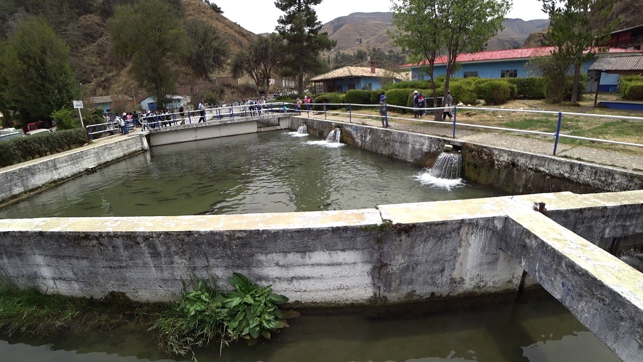 Criadero de Truchas Ingenio -Huancayo