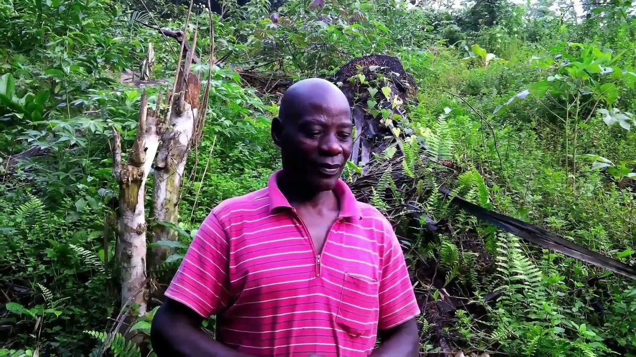 les merveilles du Gabon/  la vie en campagne