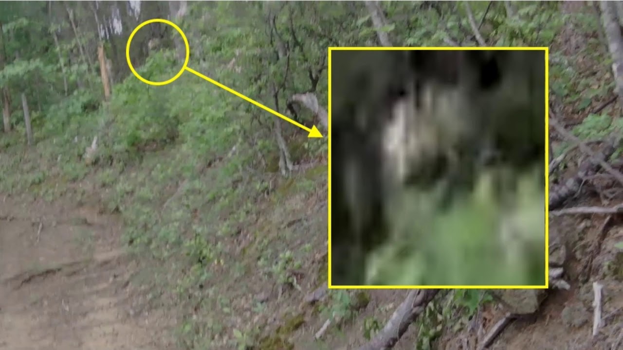White Bigfoot Captured On Video