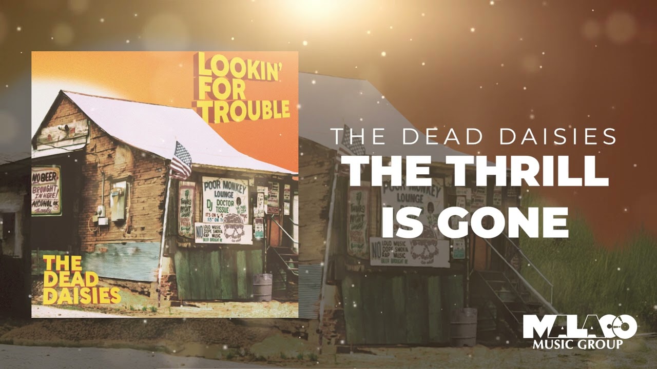 The Dead Daisies - The Thrill Is Gone (Visualizer)